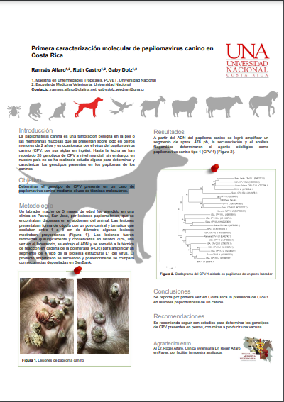 Primera caracterización molecular de papilomavirus canino en Costa Rica Primera caracterización molecular de papilomavirus canino en Costa Rica