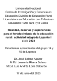 Miniatura